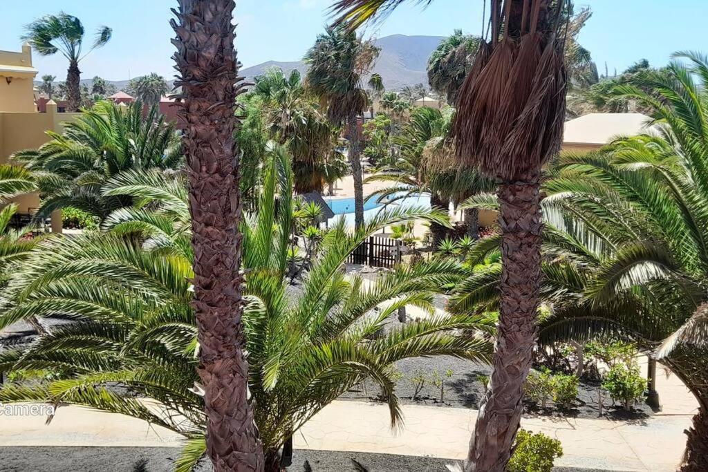 Apartment Cumbre Vieja Fuerteventura Corralejo Exteriör bild