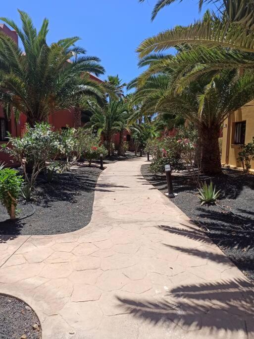 Apartment Cumbre Vieja Fuerteventura Corralejo Exteriör bild