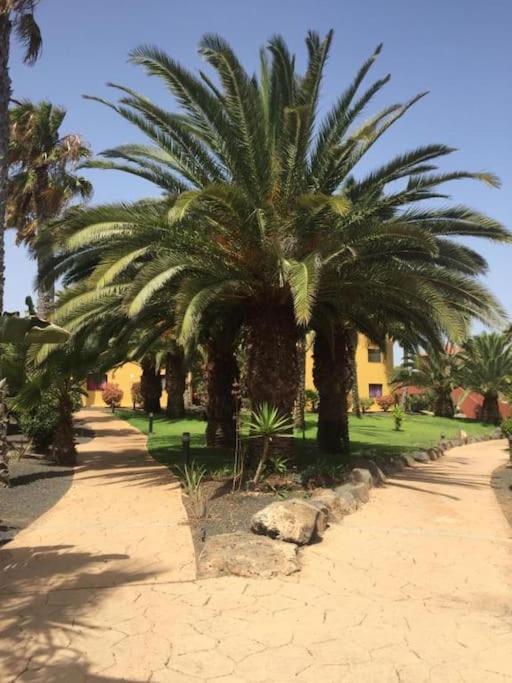 Apartment Cumbre Vieja Fuerteventura Corralejo Exteriör bild