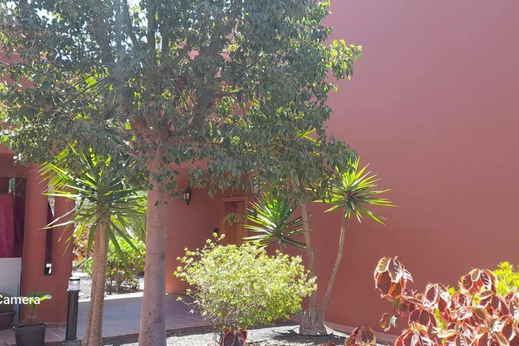 Apartment Cumbre Vieja Fuerteventura Corralejo Exteriör bild