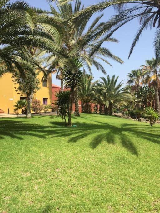 Apartment Cumbre Vieja Fuerteventura Corralejo Exteriör bild