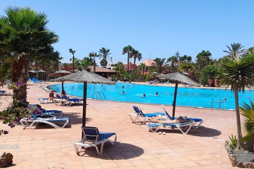 Apartment Cumbre Vieja Fuerteventura Corralejo Exteriör bild