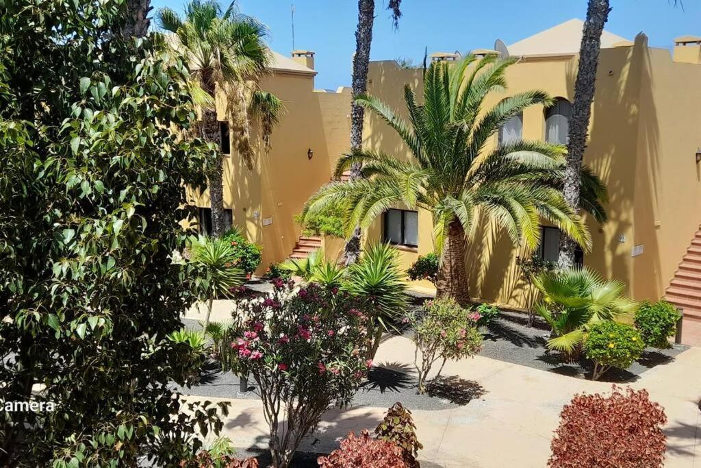 Apartment Cumbre Vieja Fuerteventura Corralejo Exteriör bild