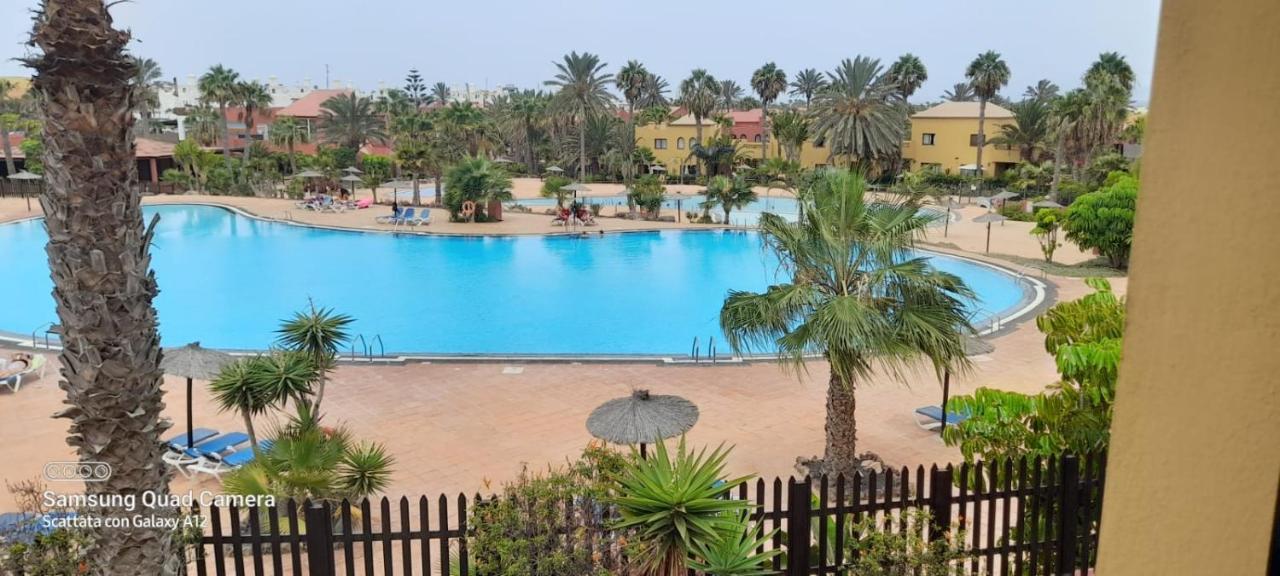 Apartment Cumbre Vieja Fuerteventura Corralejo Exteriör bild